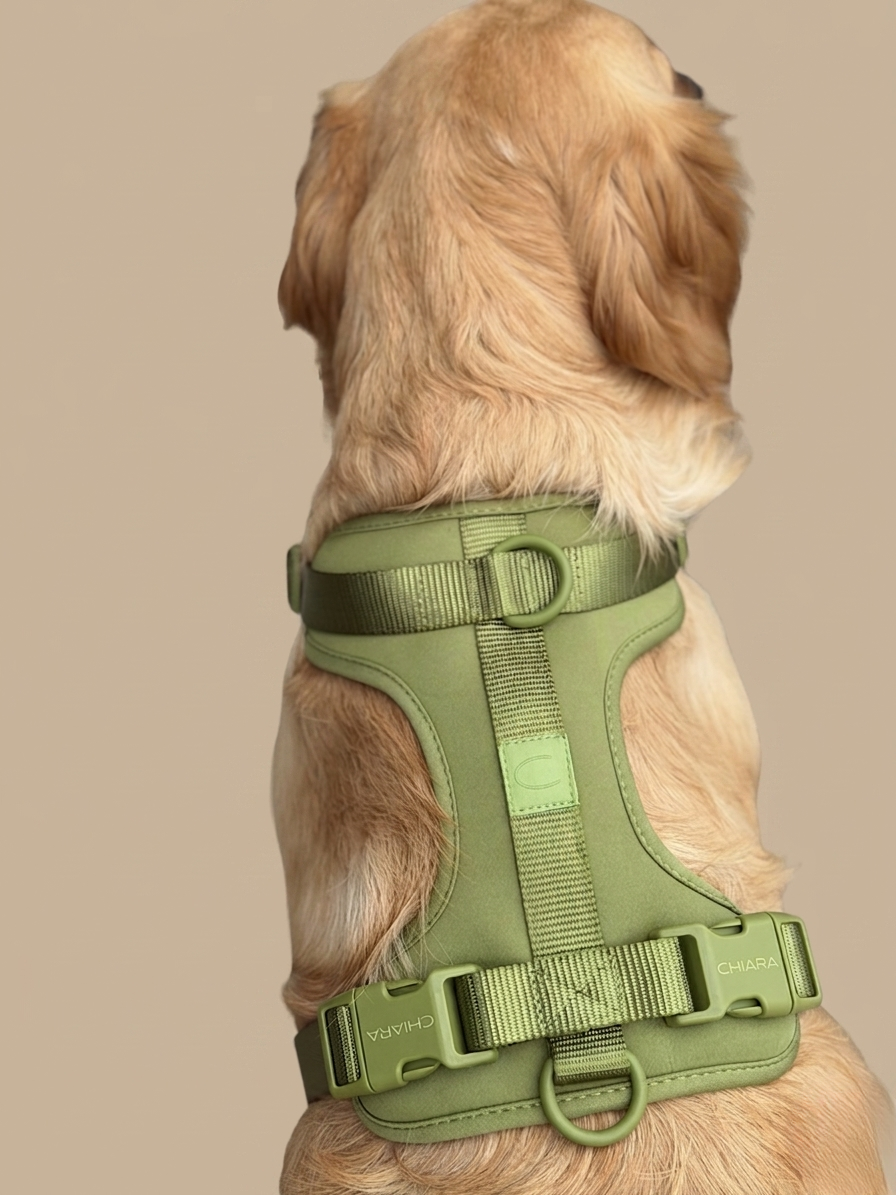 CHIARA Harness MATCHA