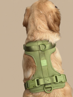 CHIARA Harness MATCHA