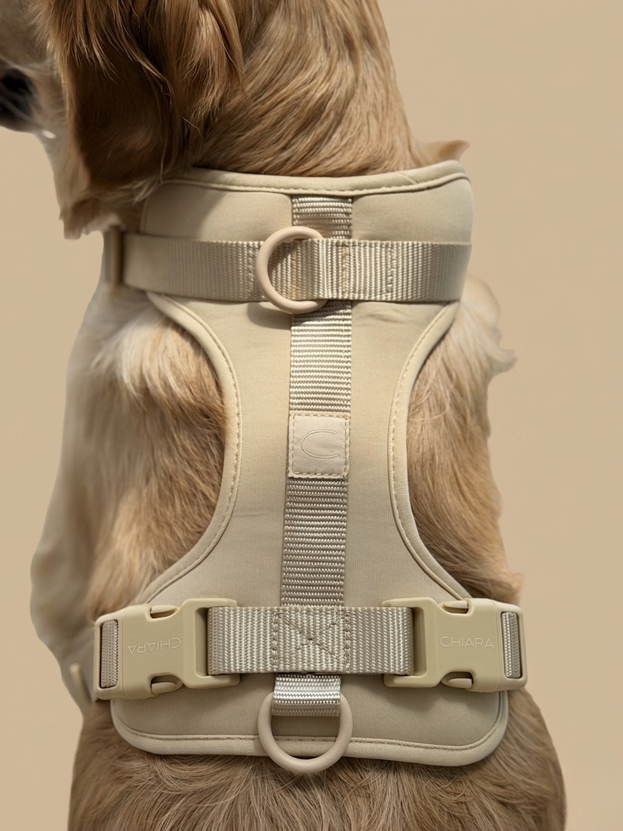 CHIARA Harness LATTE