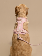 CHIARA Harness ROSÉ