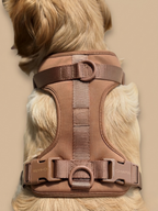 CHIARA Harness MOCHA