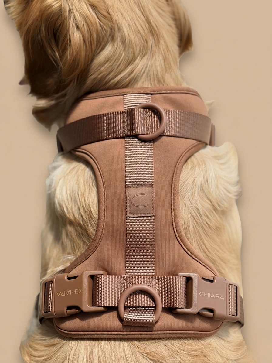 CHIARA Harness MOCHA