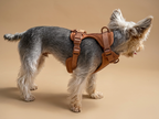 CHIARA Harness MOCHA