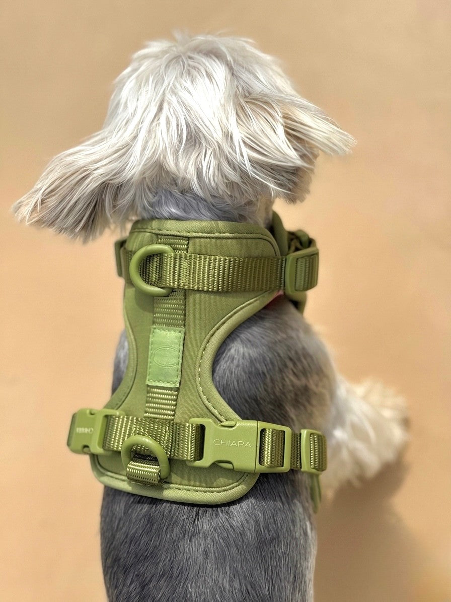 CHIARA Harness MATCHA