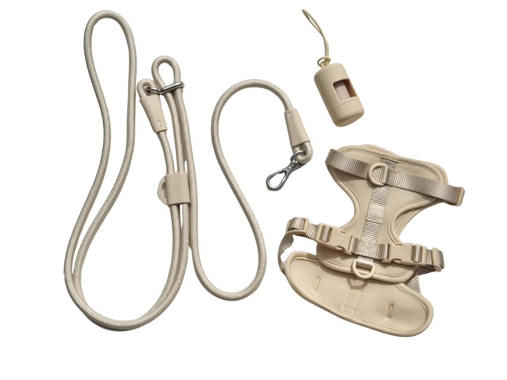 CHIARA Harness LATTE