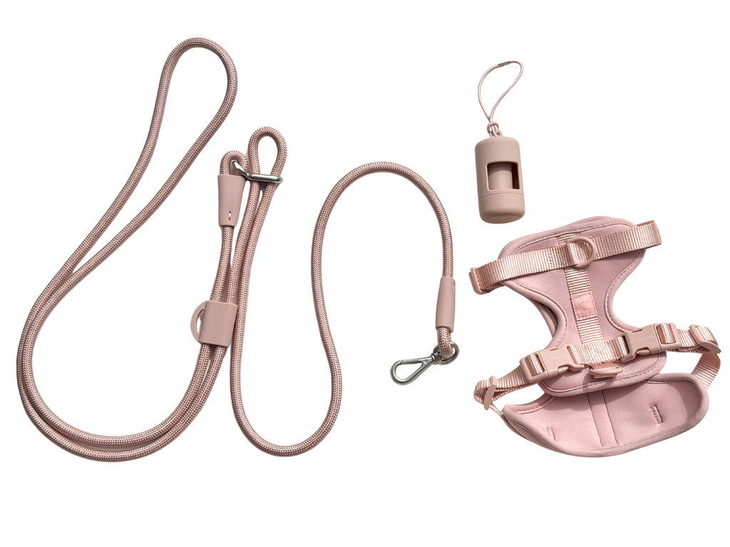 Hands-free Leash ROSÉ