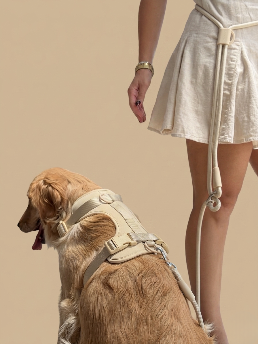 Hands-free Leash LATTE