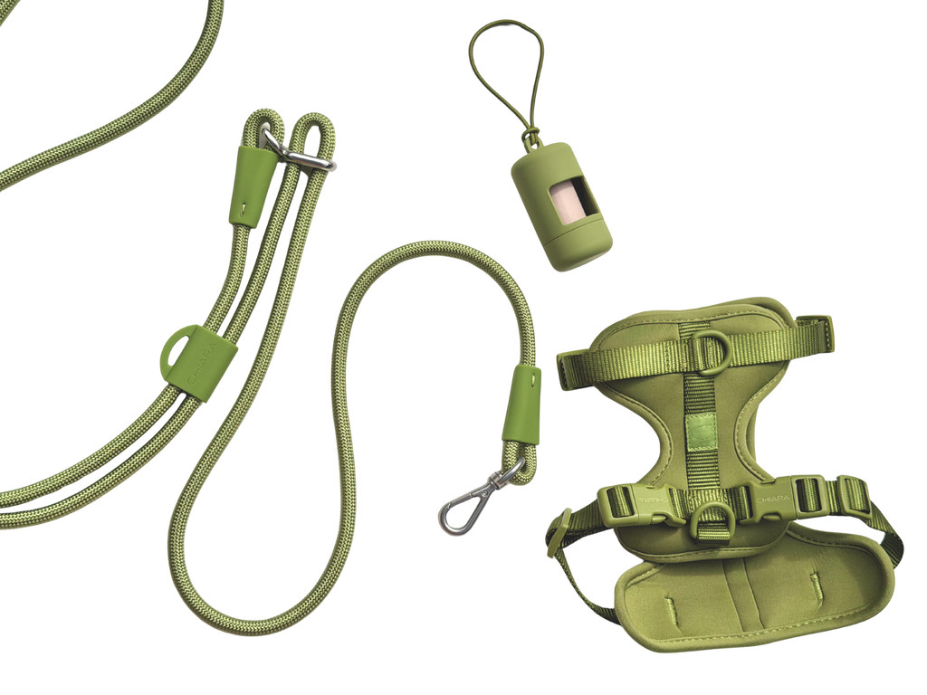 CHIARA Harness MATCHA